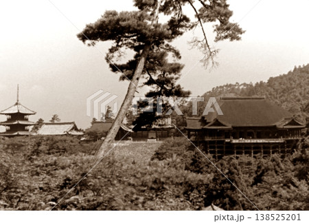 古写真　1956年　京都　清水寺の本堂と三重塔 138525201