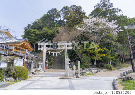 飛鳥坐神社　鳥居と鳥形山　桜の季節 138525293
