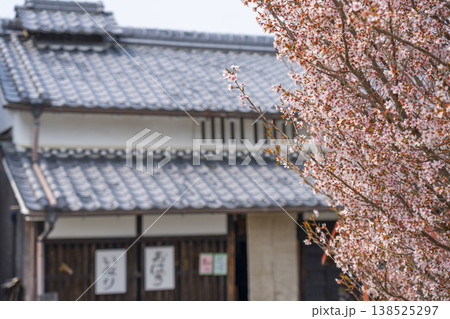 明日香村 ひもろぎと桜 明日香村 ひもろぎと桜 138525297