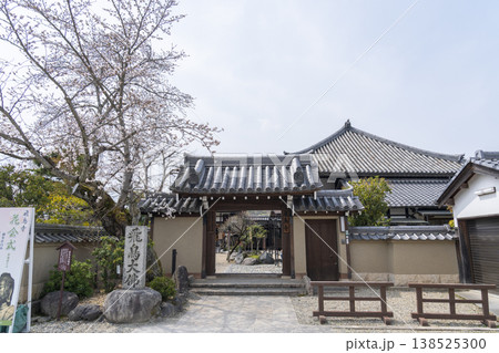 飛鳥寺　正門　満開の桜（奈良県明日香村） 138525300