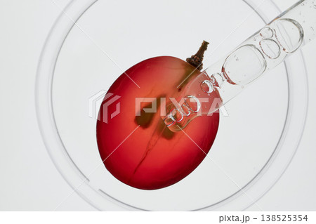 Pipette collecting serum from sliced red grape in clear petri dish Pipette collecting serum from sliced red grape in clear petri dish 138525354