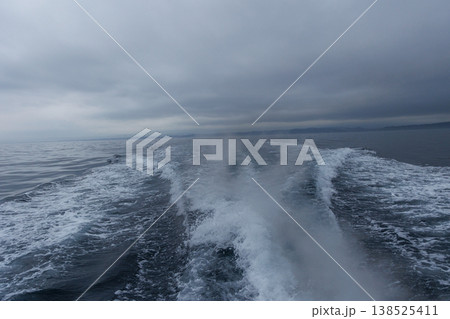 陸奥湾イルカウォッチング（漁船の波） 138525411