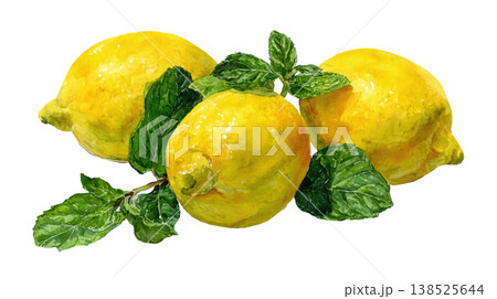 Watercolor fresh lemons with mint leaves clip art illustration isolated on white background 138525644