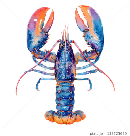 Watercolor blue and orange lobster animal clip art illustration isolated on white background Watercolor blue and orange lobster animal clip art illustration isolated on white background 138525650