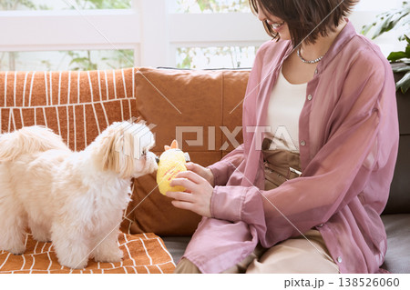 マルチーズとおもちゃで遊ぶ女性の手 ペットと暮らすライフスタイル 室内の犬とのコミュニケーション マルチーズとおもちゃで遊ぶ女性の手 ペットと暮らすライフスタイル 室内の犬とのコミュニケーション 138526060