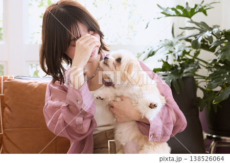 マルチーズを抱いて見つめ合う女性 ペットと暮らす癒しの時間 犬とのコミュニケーション マルチーズを抱いて見つめ合う女性 ペットと暮らす癒しの時間 犬とのコミュニケーション 138526064