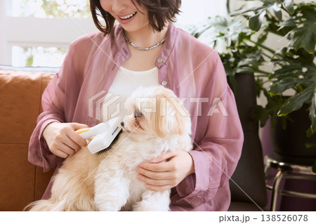 マルチーズをブラッシングする女性 ペットケア 犬のお手入れ ライフスタイル 138526078