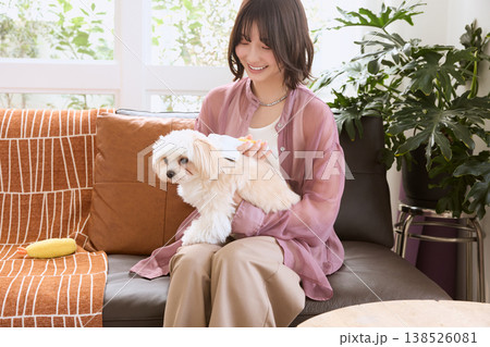 マルチーズをブラッシングする女性 ペットケア 犬のお手入れ ライフスタイル マルチーズをブラッシングする女性 ペットケア 犬のお手入れ ライフスタイル 138526081