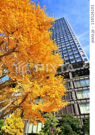 紅葉に彩られた『行幸通り』から眺める『中央停車場』前の【高層ビル】 138526101