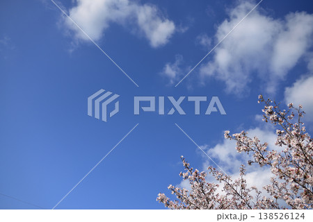 春の桜と空と雲 春の桜と空と雲 138526124