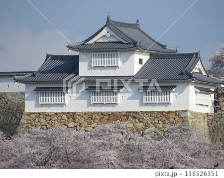 岡山県津山市にあるさくら名所100選のひとつ「鶴山公園（津山城趾）」：シンボルとなっている備中櫓 138526351