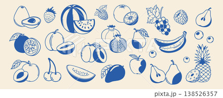 Hand drawn fruits collection. Blue linear sketch. Food illustration. 138526357