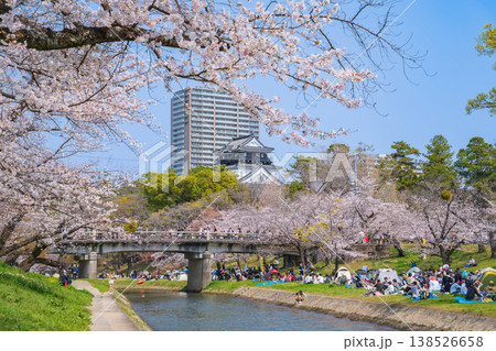春の岡崎城、満開の桜〈愛知県岡崎市〉 138526658