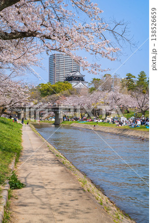 春の岡崎城、満開の桜〈愛知県岡崎市〉 138526659
