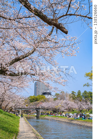 春の岡崎城、満開の桜〈愛知県岡崎市〉 138526660