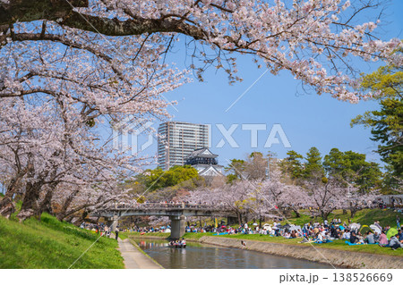 春の岡崎城、満開の桜〈愛知県岡崎市〉 138526669