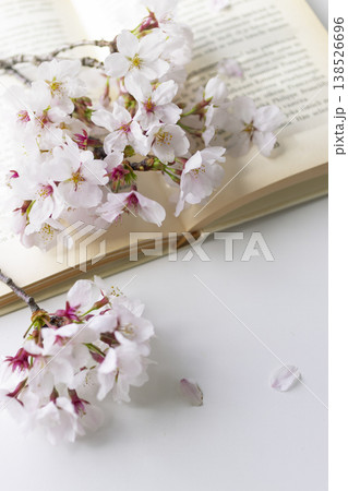 桜の枝と本 春のナチュラルなテーブルフォト コピースペースあり 138526696
