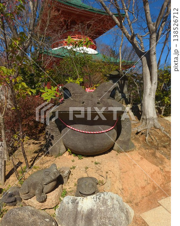 正法寺こがえる寺のカエル 正法寺こがえる寺のカエル 138526712