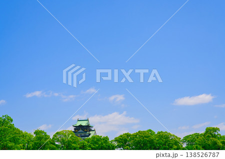 【大阪府】6月・大阪城公園 【大阪府】6月・大阪城公園 138526787
