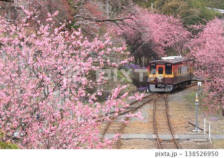 わたらせ渓谷鐵道「花桃の花に包まれる神戸駅風景」 わたらせ渓谷鐵道「花桃の花に包まれる神戸駅風景」 138526950