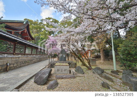 御香宮神社の桜 138527305