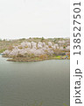 恵那峡の湖畔に咲く満開の桜と春の風景 138527501