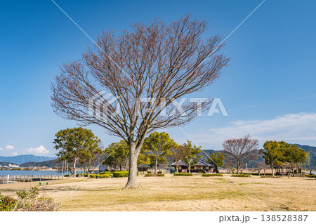 能登川水車とカヌーランド　伊庭内湖　滋賀県東近江市 138528387