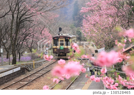 わたらせ渓谷鐵道「花桃に包まれた神戸駅風景」 138528465