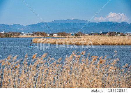 伊庭内湖　大同川　滋賀県東近江市 138528524