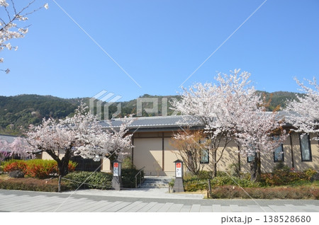 京都・嵐山 138528680