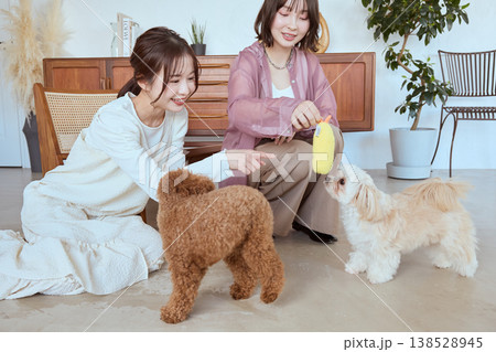 女性二人と遊ぶマルチーズ おもちゃで遊ぶ楽しいペットとのコミュニケーション 138528945