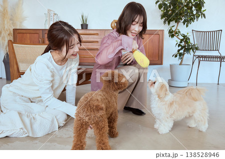 女性二人と遊ぶマルチーズ おもちゃで遊ぶ楽しいペットとのコミュニケーション 138528946