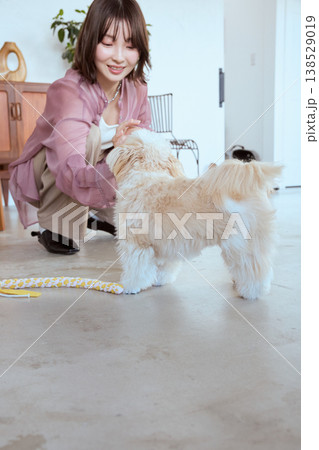 おやつを待つマルチーズと女性 しつけと信頼関係を育てる室内トレーニング 138529019