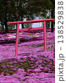 芝桜に佇む鳥居 138529838