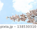 ソメイヨシノと青空 138530310