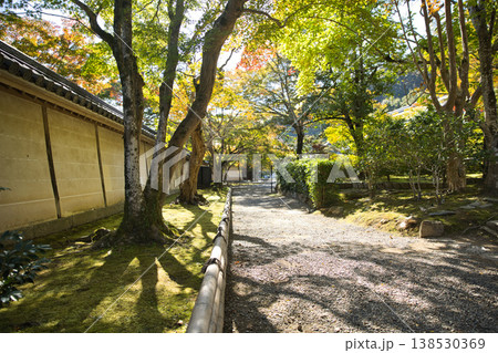 小倉山二尊院　紅葉のグラデーションと木漏れ日4 138530369