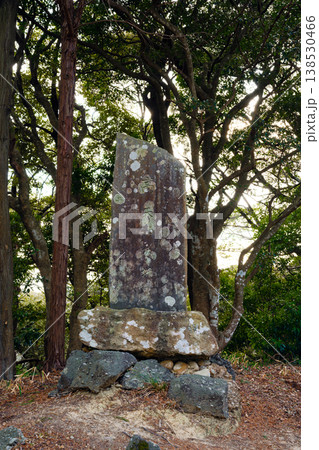高天神城跡の石碑 高天神城跡の石碑 138530466