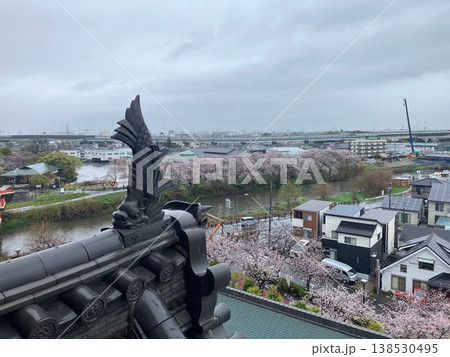 清洲城の金シャチと五条川沿いに広がる桜並木の風景 清洲城の金シャチと五条川沿いに広がる桜並木の風景 138530495