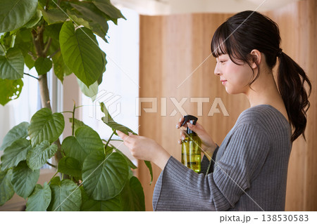 観葉植物の手入れをする若い女性 観葉植物の手入れをする若い女性 138530583