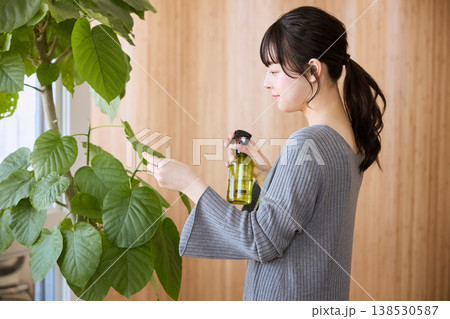 観葉植物の手入れをする若い女性 観葉植物の手入れをする若い女性 138530587