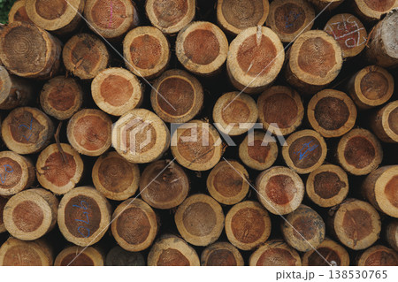 山積みにされた丸太の断面テクスチャ 林業と国産材の年輪パターン背景素材 138530765