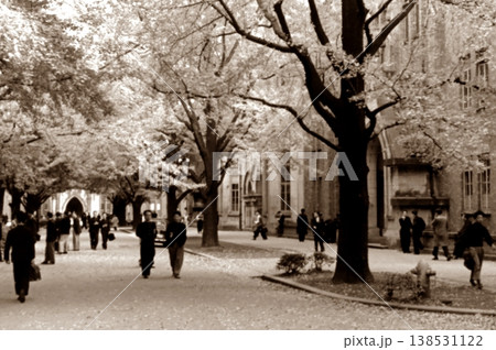 古写真 1956年 東京 東京大学本郷キャンパスの銀杏並木 古写真 1956年 東京 東京大学本郷キャンパスの銀杏並木 138531122