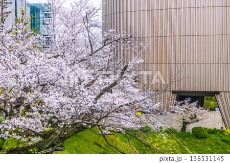 日本の東京都市景観あの悲劇を忘れてはならない…九段下駅前の昭和館などを望む。再び桜の季節が…＝5日 138531145