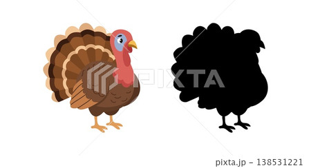 Cartoon turkey bird and black silhouette for kids logic educational task 138531221