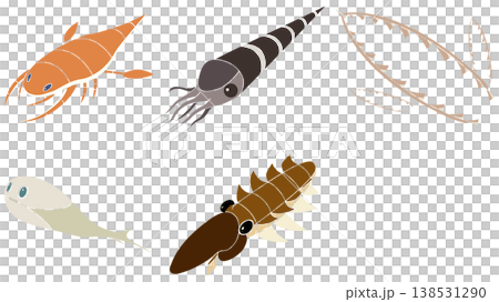 Ordovician organism material set 138531290