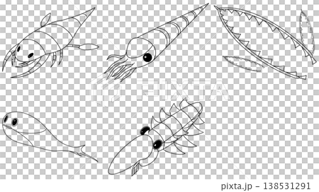 オルドビス紀生物の素材セット 138531291