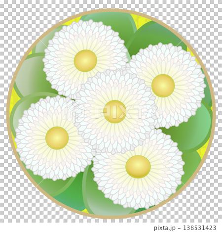 雛菊插圖,圓形背景 雛菊插圖,圓形背景 138531423
