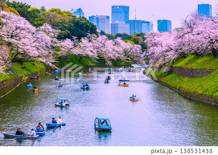日本の東京都市景観 桜が満開の千鳥ヶ淵。奥に東京タワーや虎ノ門ヒルズ駅、麻布台ヒルズなど…＝5日 138531438