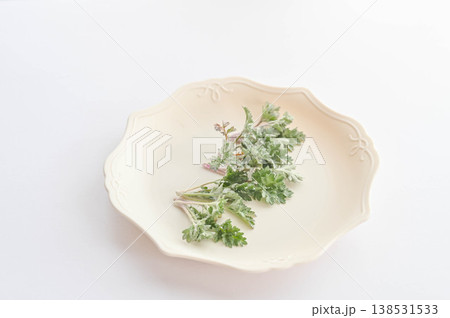 摘んだよもぎの芽 138531533