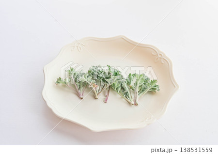 摘んだ生よもぎの若芽 138531559
